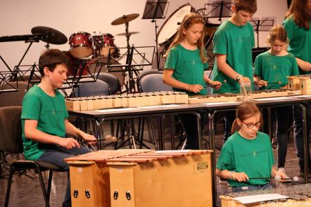 Koncert orkestrov in pevskega zbora Glasbene šole Kamnik  (9)